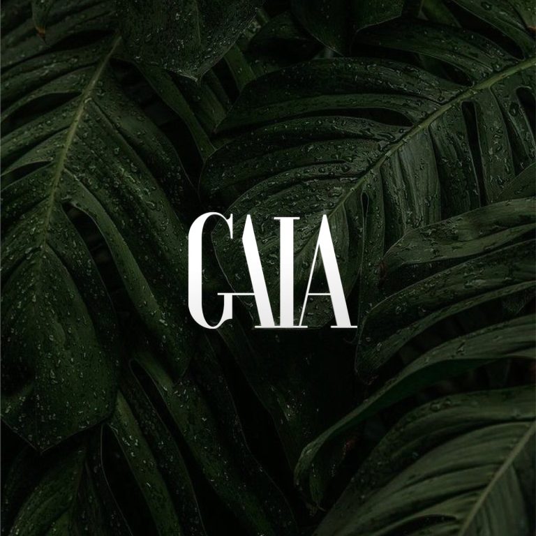 Instagram post from gaia.shop.co. This post is in position 3.
