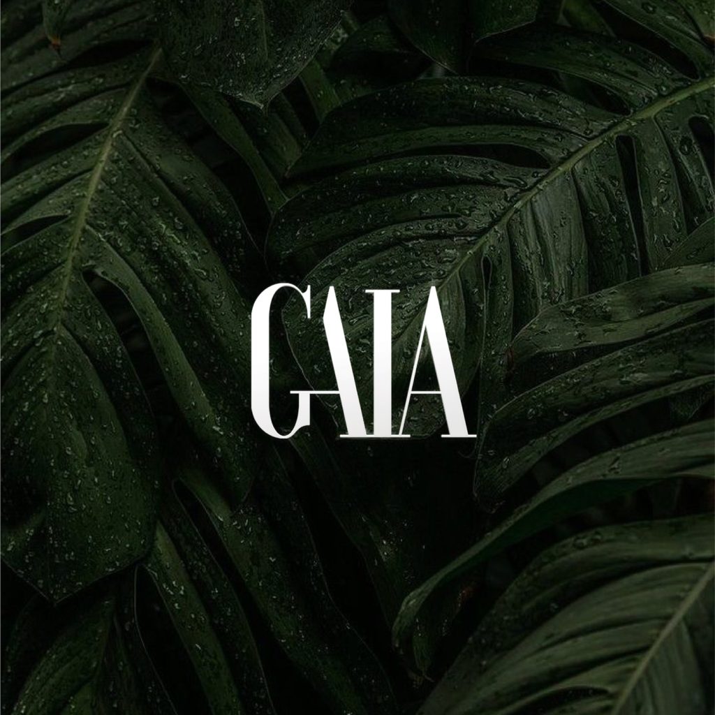 Instagram post from gaia.shop.co. This post is in position 0.